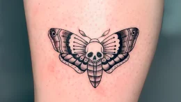 тату-бражник-пример-рисунка-тату-для-tattoo-photo-ru-9