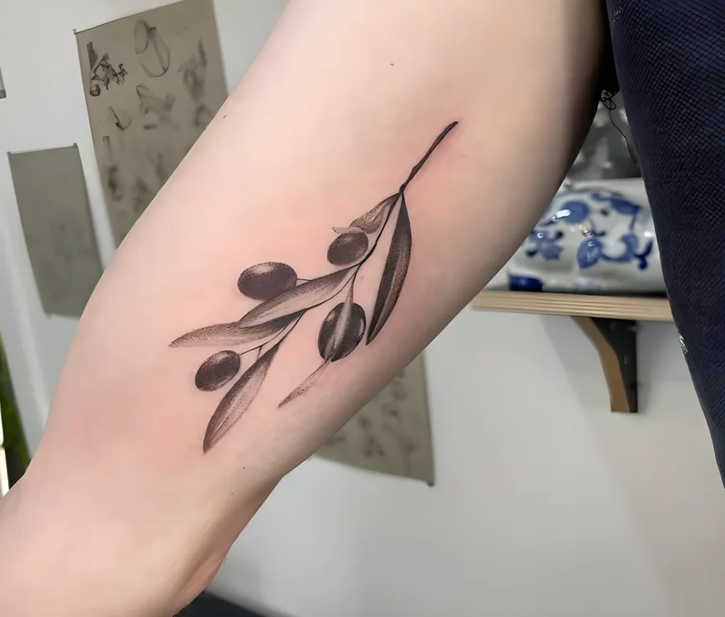 тату-оливковая-ветвь-пример-рисунка-тату-для-tattoo-photo-ru-1