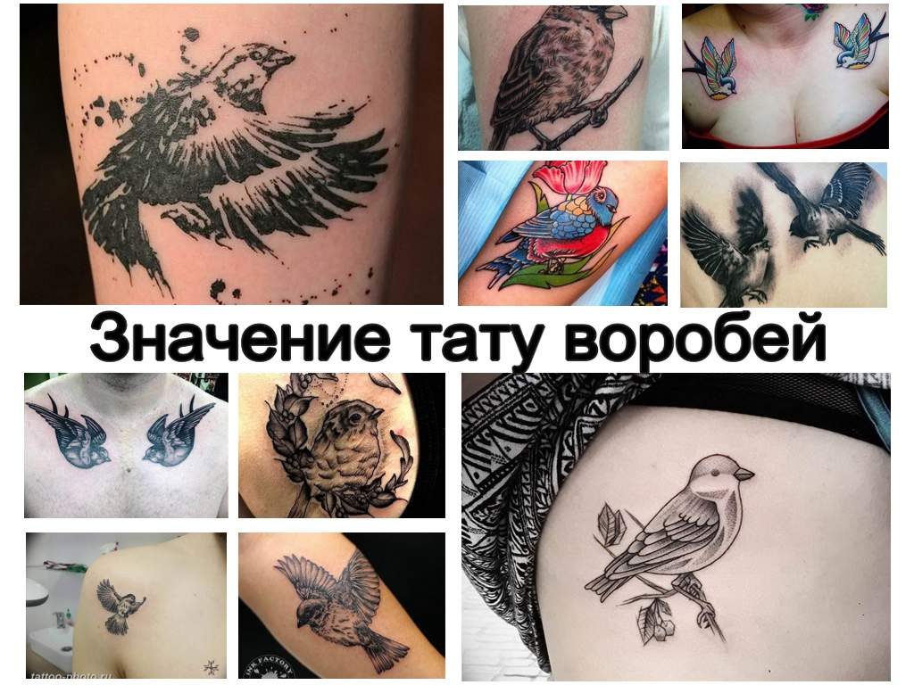 Значение тату воробей - информация и фото примеры рисунков татуировки на фото