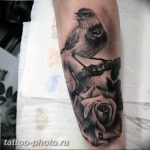 рисунка тату воробей 03.12.2018 №018 - photo tattoo sparrow - tattoo-photo.ru