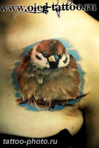 рисунка тату воробей 03.12.2018 №027 - photo tattoo sparrow - tattoo-photo.ru