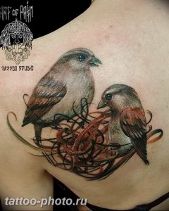 рисунка тату воробей 03.12.2018 №031 - photo tattoo sparrow - tattoo-photo.ru