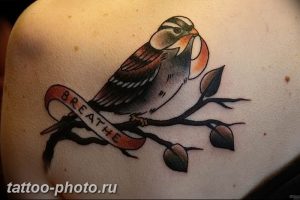рисунка тату воробей 03.12.2018 №087 - photo tattoo sparrow - tattoo-photo.ru