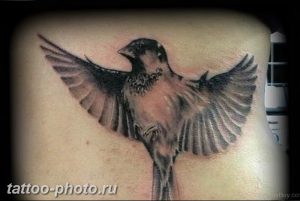 рисунка тату воробей 03.12.2018 №095 - photo tattoo sparrow - tattoo-photo.ru