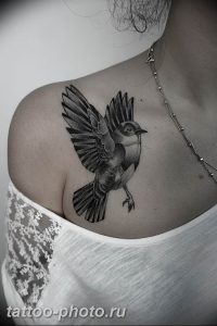 рисунка тату воробей 03.12.2018 №102 - photo tattoo sparrow - tattoo-photo.ru