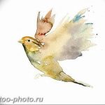 рисунка тату воробей 03.12.2018 №116 - photo tattoo sparrow - tattoo-photo.ru