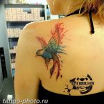 что означает тату воробей. Смотреть фото что означает тату воробей. Смотреть картинку что означает тату воробей. Картинка про что означает тату воробей. Фото что означает тату воробей