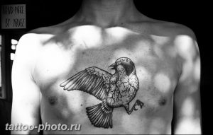 рисунка тату воробей 03.12.2018 №118 - photo tattoo sparrow - tattoo-photo.ru