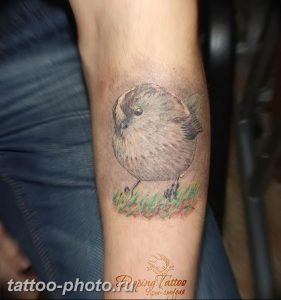 рисунка тату воробей 03.12.2018 №121 - photo tattoo sparrow - tattoo-photo.ru