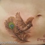 рисунка тату воробей 03.12.2018 №122 - photo tattoo sparrow - tattoo-photo.ru