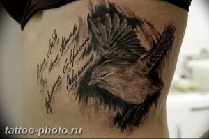 рисунка тату воробей 03.12.2018 №138 - photo tattoo sparrow - tattoo-photo.ru