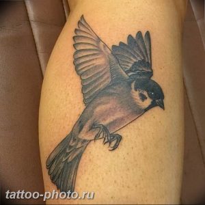 рисунка тату воробей 03.12.2018 №143 - photo tattoo sparrow - tattoo-photo.ru