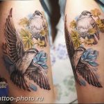 рисунка тату воробей 03.12.2018 №144 - photo tattoo sparrow - tattoo-photo.ru