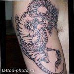 фото тату тигр и дракон 07.12.2018 №083 - tattoo tiger and dragon - tattoo-photo.ru