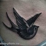 рисунка тату воробей 03.12.2018 №016 - photo tattoo sparrow - tattoo-photo.ru