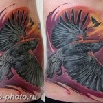 рисунка тату воробей 03.12.2018 №022 - photo tattoo sparrow - tattoo-photo.ru