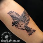 рисунка тату воробей 03.12.2018 №024 - photo tattoo sparrow - tattoo-photo.ru