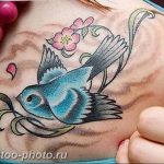 рисунка тату воробей 03.12.2018 №034 - photo tattoo sparrow - tattoo-photo.ru