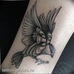 рисунка тату воробей 03.12.2018 №036 - photo tattoo sparrow - tattoo-photo.ru