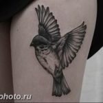 рисунка тату воробей 03.12.2018 №048 - photo tattoo sparrow - tattoo-photo.ru