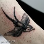 рисунка тату воробей 03.12.2018 №052 - photo tattoo sparrow - tattoo-photo.ru