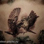 рисунка тату воробей 03.12.2018 №073 - photo tattoo sparrow - tattoo-photo.ru