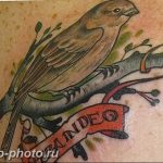рисунка тату воробей 03.12.2018 №074 - photo tattoo sparrow - tattoo-photo.ru
