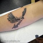 рисунка тату воробей 03.12.2018 №077 - photo tattoo sparrow - tattoo-photo.ru