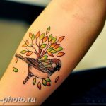 рисунка тату воробей 03.12.2018 №083 - photo tattoo sparrow - tattoo-photo.ru