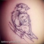 рисунка тату воробей 03.12.2018 №085 - photo tattoo sparrow - tattoo-photo.ru