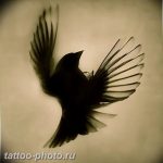 рисунка тату воробей 03.12.2018 №089 - photo tattoo sparrow - tattoo-photo.ru