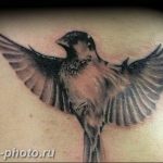 рисунка тату воробей 03.12.2018 №095 - photo tattoo sparrow - tattoo-photo.ru