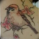 рисунка тату воробей 03.12.2018 №099 - photo tattoo sparrow - tattoo-photo.ru