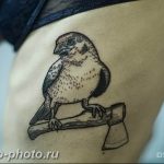 рисунка тату воробей 03.12.2018 №103 - photo tattoo sparrow - tattoo-photo.ru