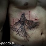 рисунка тату воробей 03.12.2018 №108 - photo tattoo sparrow - tattoo-photo.ru