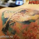 рисунка тату воробей 03.12.2018 №120 - photo tattoo sparrow - tattoo-photo.ru