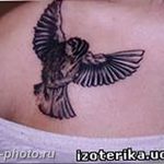 рисунка тату воробей 03.12.2018 №126 - photo tattoo sparrow - tattoo-photo.ru