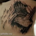 рисунка тату воробей 03.12.2018 №138 - photo tattoo sparrow - tattoo-photo.ru