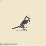 рисунка тату воробей 03.12.2018 №142 - photo tattoo sparrow - tattoo-photo.ru