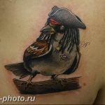 рисунка тату воробей 03.12.2018 №150 - photo tattoo sparrow - tattoo-photo.ru