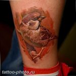 рисунка тату воробей 03.12.2018 №155 - photo tattoo sparrow - tattoo-photo.ru