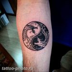 фото тату тигр и дракон 07.12.2018 №033 - tattoo tiger and dragon - tattoo-photo.ru