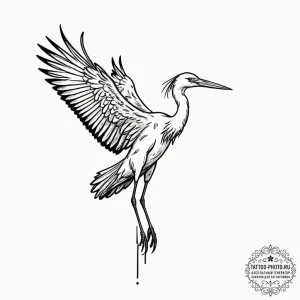 Stork, ink illustration for tattoo, on a clea... - эскиз тату (№1751047426_0, 27.06.2025 18:03) — tattoo-photo.ru