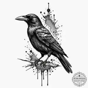 A taxidermy crow, tattoo flash sheet design,... - эскиз тату (№1751061711_0, 27.06.2025 22:01) — tattoo-photo.ru