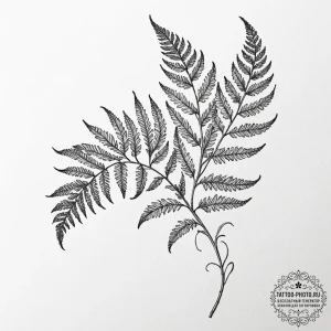 Tattoo sketch a detailed fern leaf, showing i... - эскиз тату (№1751147130_0, 28.06.2025 21:45) — tattoo-photo.ru