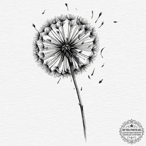 Dandelion seeds blowing in the wind (is there... - эскиз тату (№1751339020_0, 01.07.2025 03:03) — tattoo-photo.ru