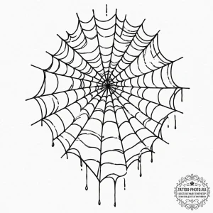 A close-up of a dew-covered spiderweb., tatto... - эскиз тату (№1751671430_0, 04.07.2025 23:23) — tattoo-photo.ru