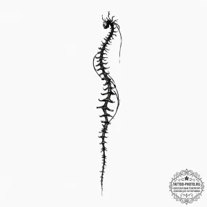 Tattoo sketch a simple, elegant silhouette of... - эскиз тату (№1751697231_0, 05.07.2025 06:33) — tattoo-photo.ru