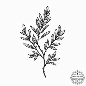 Tiny tattoo design, a single, perfect olive b... - эскиз тату (№1751759282_0, 05.07.2025 23:48) — tattoo-photo.ru