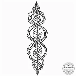 Dna helix, tattoo line art, black outline onl... - эскиз тату (№1751836086_0, 06.07.2025 21:08) — tattoo-photo.ru